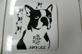 CACHORRO 20X20 CADA